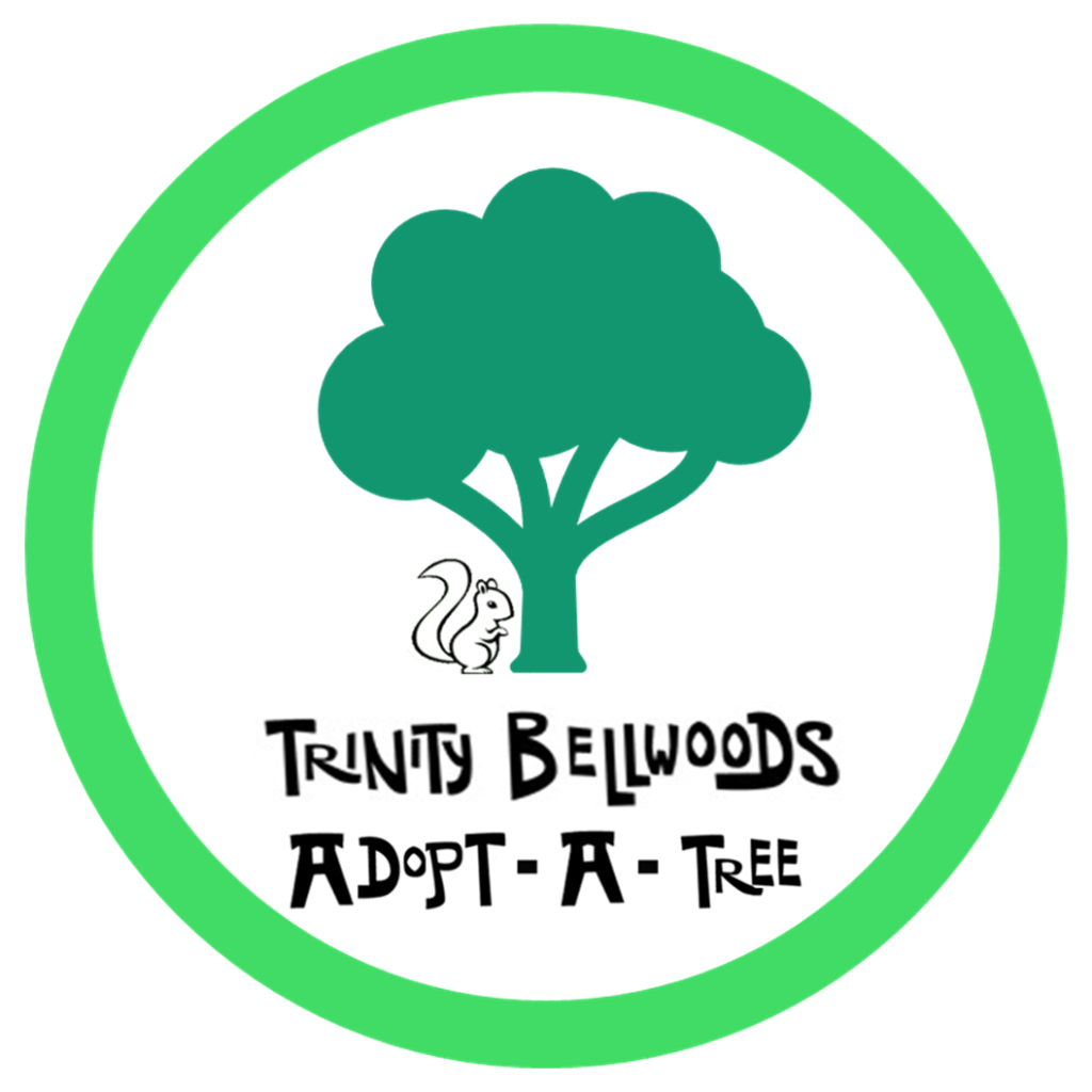 Trinity Bellwoods Adopt a Tree logo, tree with white squirrel in a green circle